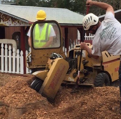 Stump Grinding in Green Cove Springs, FL