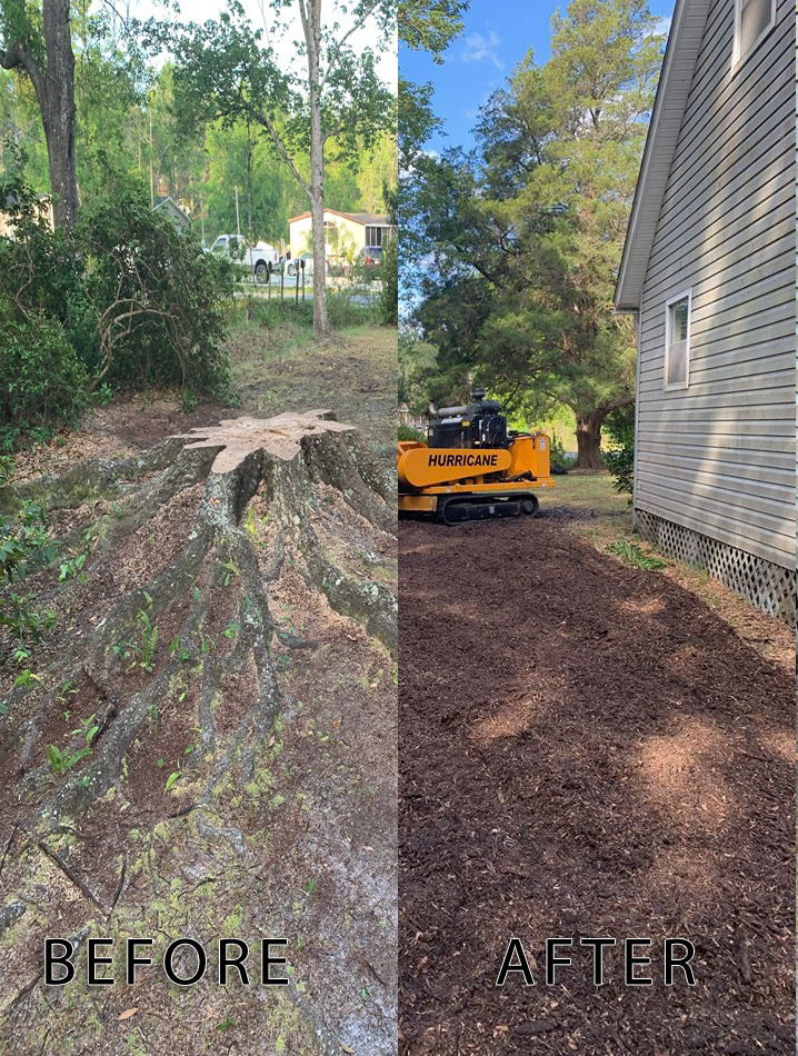 Stump Grinding comparison Before and After
